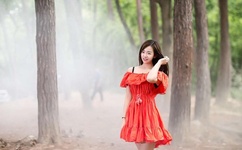 大佬宠妻不腻小说免费阅读